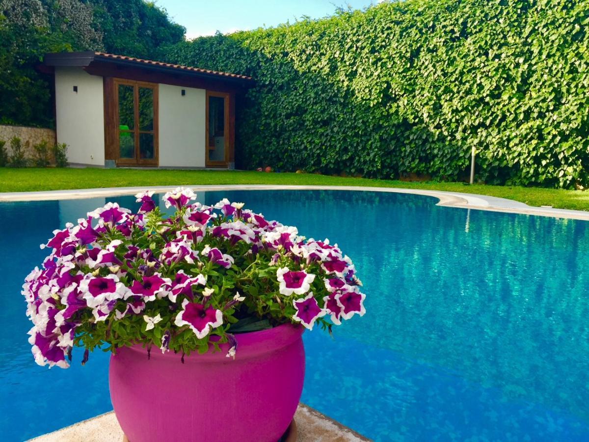 Villa Ara Town House San Giovanni La Punta Exterior foto